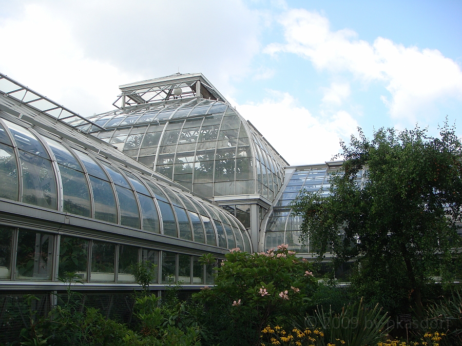 Washington DC [2009 July 04] 090.JPG - Scenes from The United States Botanic Garden